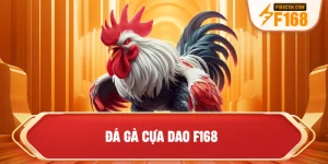 Đá gà cựa dao F168