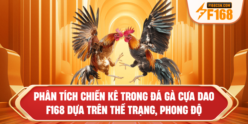 Phân tích chiến kê trong đá gà cựa dao F168 dựa trên thể trạng, phong độ