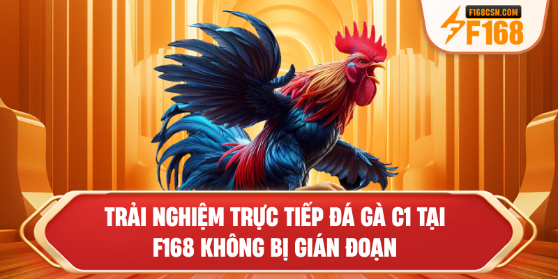Trải nghiệm trực tiếp đá gà C1 tại F168 không bị gián đoạn