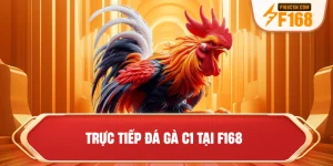 Trực tiếp đá gà C1 tại F168